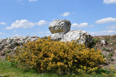 Agrandir l'image 18 sur 60, fenêtre modale