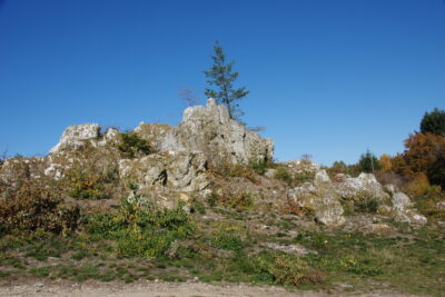 Agrandir l'image 8 sur 60, fenêtre modale