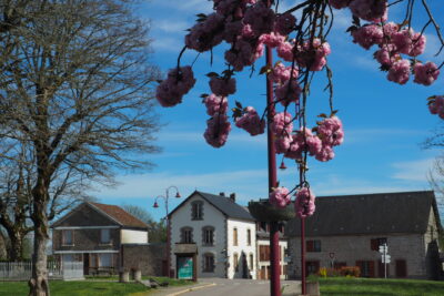 Agrandir l'image 35 sur 60, fenêtre modale