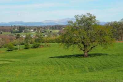 Agrandir l'image 51 sur 60, fenêtre modale