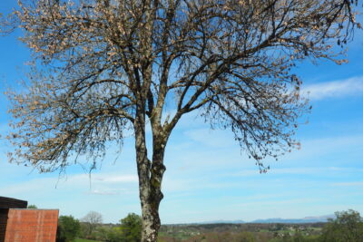 Agrandir l'image 46 sur 60, fenêtre modale