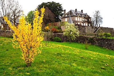 Agrandir l'image 3 sur 60, fenêtre modale