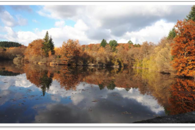 Agrandir l'image 6 sur 60, fenêtre modale