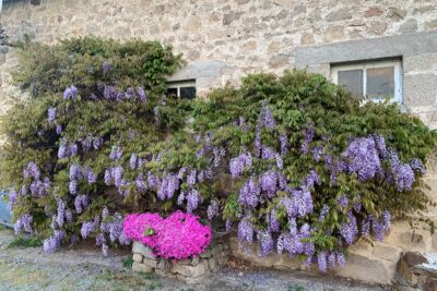 Agrandir l'image 60 sur 60, fenêtre modale