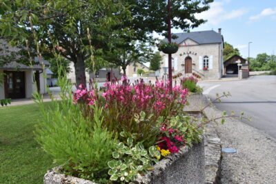 Agrandir l'image 12 sur 60, fenêtre modale