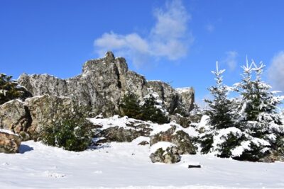 Agrandir l'image 31 sur 60, fenêtre modale