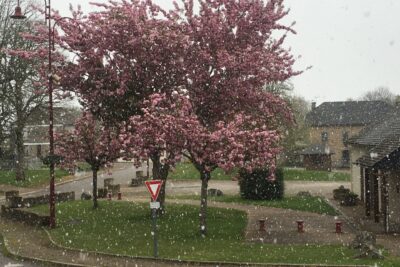 Agrandir l'image 59 sur 60, fenêtre modale