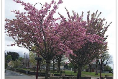 Agrandir l'image 19 sur 60, fenêtre modale