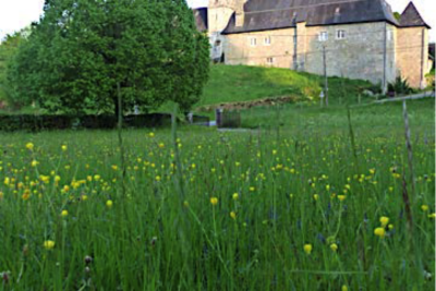 Agrandir l'image 10 sur 60, fenêtre modale